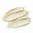Купить ELEMIS Energising Skin Scrub