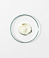 Grown Alchemist Anti-Frizz - Conditioner 0.5 (200 ml)